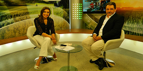 entrevista bellato01